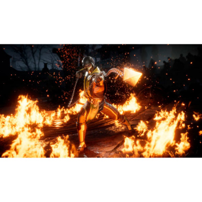 Mortal Kombat 11 PS4 Русские субтитры от магазина Kiberzona72