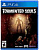 Tormented Souls PS4 от магазина Kiberzona72